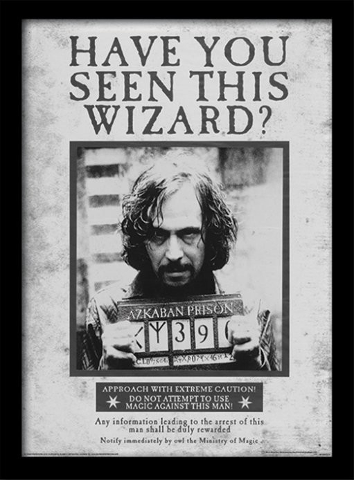 Posters Obraz na zeď - Harry Potter - Sirius Wanted