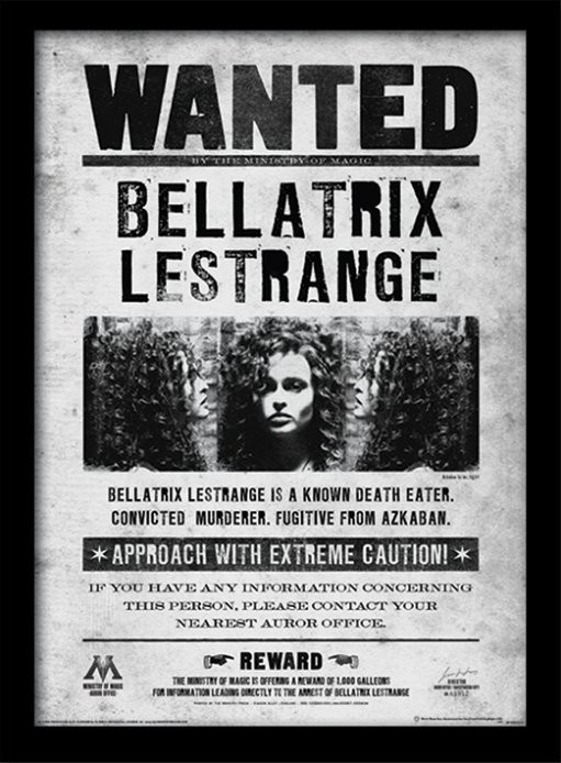 Posters Obraz na zeď - Harry Potter - Bellatrix Wanted