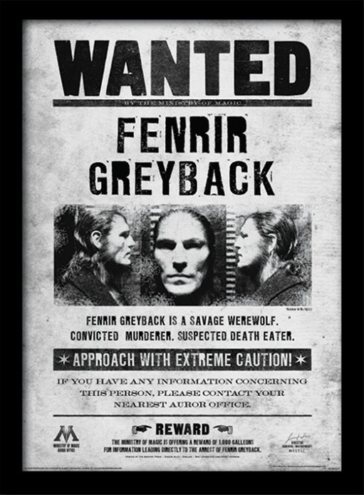 Posters Obraz na zeď - Harry Potter - Fenrir Wanted