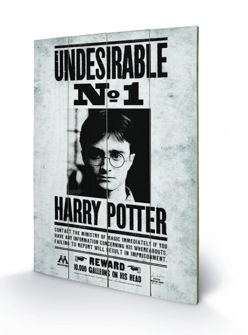 Posters Dřevěný obraz Harry Potter - Undesirable No1, (40 x 59 cm)