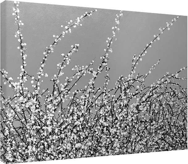 Posters Obraz na plátně Simon Fairless - Early Blossom, (80 x 60 cm)