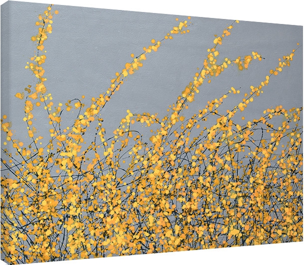 Posters Obraz na plátně Simon Fairless - Yellow Blossom, (80 x 60 cm)