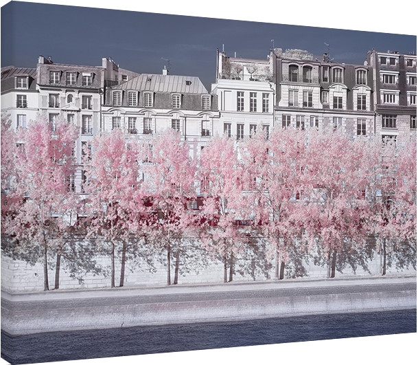Posters Obraz na plátně David Clapp - River Seine Infrared, Paris, (80 x 60 cm)