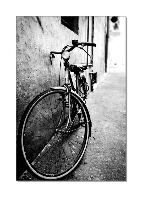 Posters Obraz na zeď - Kolo (B&W), (80 x 120 cm)