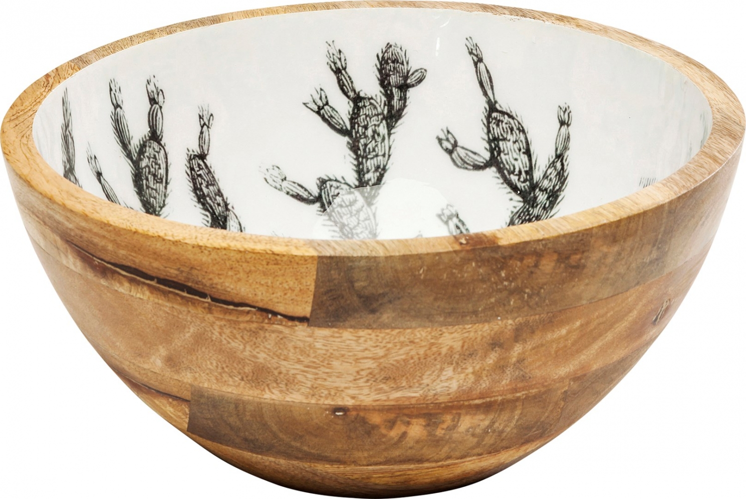 Mísa Cactus