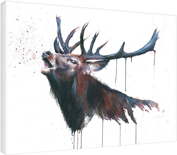 Posters Obraz na plátně Sarah Stokes - Roar, (80 x 60 cm)