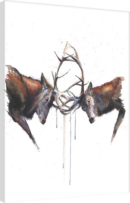 Posters Obraz na plátně Sarah Stokes - Headstrong, (60 x 80 cm)