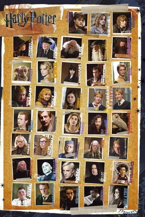 Posters Plakát, Obraz - HARRY POTTER 7 - characters, (61 x 91,5 cm)