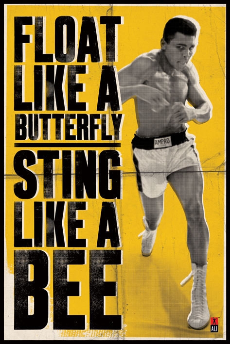 Posters Plakát, Obraz - Muhammad Ali - vznášet se jako motýl, (61 x 91,5 cm)