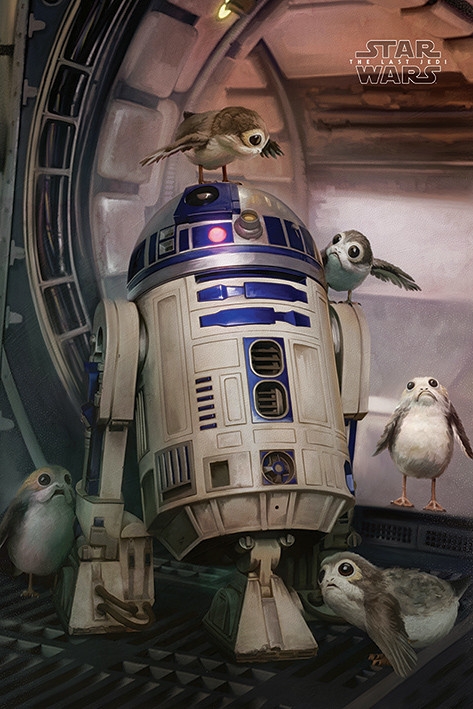 Posters Plakát, Obraz - Star Wars: Poslední z Jediů - R2-D2 & Porgs, (61 x 91,5 cm)