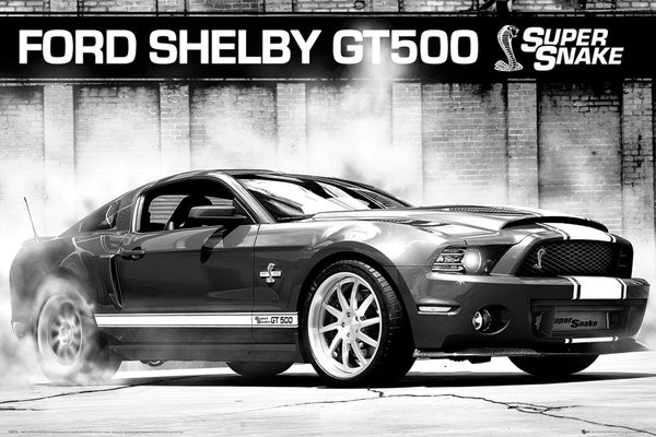 Posters Plakát, Obraz - Ford Shelby GT500 - supersnake, (91,5 x 61 cm)