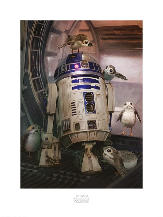 Posters Obraz, Reprodukce - Star Wars: Poslední z Jediů - R2-D2 & Porgs, (60 x 80 cm)