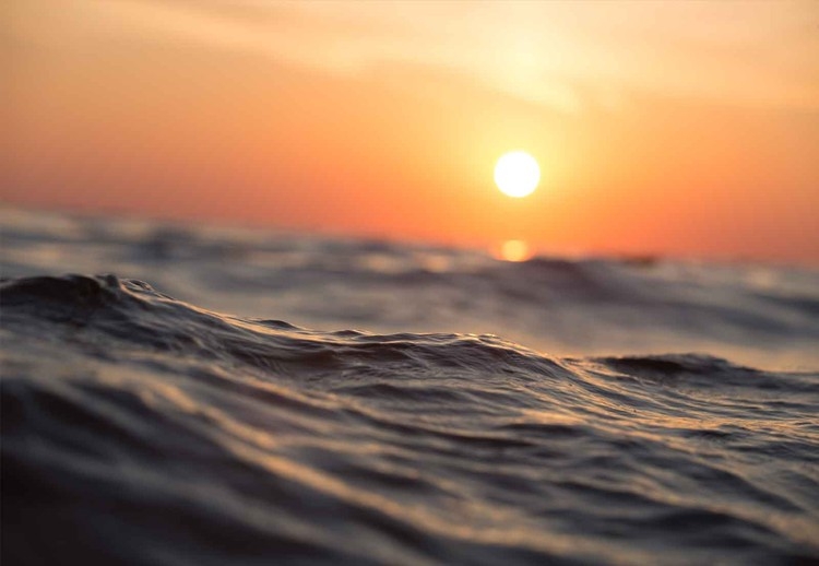 Posters Skleněný Obraz Sunset Surf