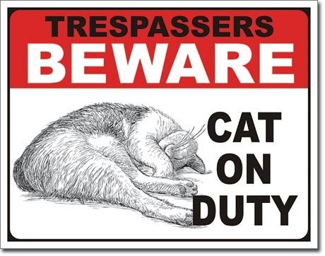 Posters Plechová cedule Cat on Duty, (16 x 12,5 cm)