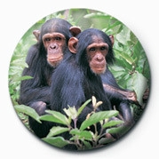 Posters Placka CHIMPS