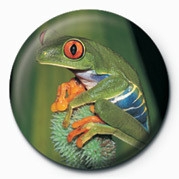 Posters Placka FROG