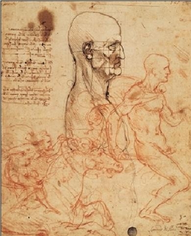 Posters Reprodukce Leonardo Da Vinci - Profil muže a studie dvou jezdců, (35 x 50 cm)