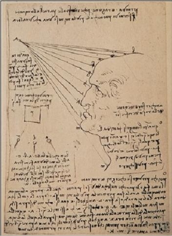 Posters Reprodukce Leonardo Da Vinci - Studie lidské tváře, (35 x 50 cm)