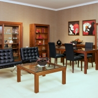 Brown obývací pokoj s knihovnou