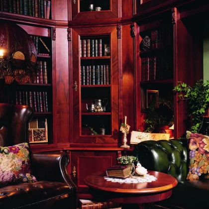 Classic obývací stěna s knihovnou