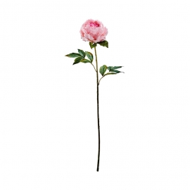 FLORISTA Pivoňka 75 cm - sv. růžová