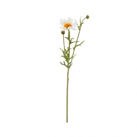 FLORISTA Sedmikráska 56 cm - bílá