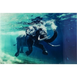 Obraz na skle Swimming Elephant 80X100cm