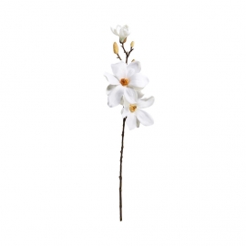 FLORISTA Magnólie 68 cm - krémová