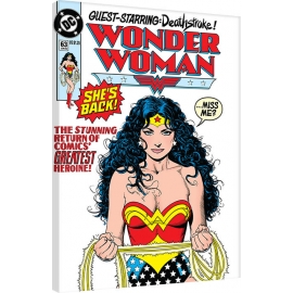 Posters Obraz na plátně DC Comics - Wonder Woman - She's Back, (60 x 80 cm)