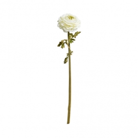 FLORISTA Pryskyřník 48 cm - krémová