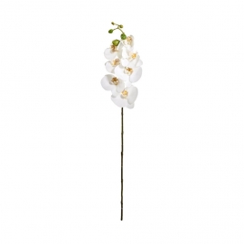 FLORISTA Větvička orchidej 70 cm - bílá