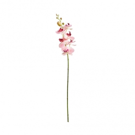FLORISTA Větvička orchidej 70 cm - růžová