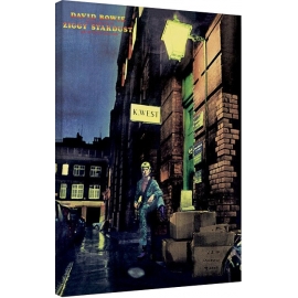 Posters Obraz na plátně David Bowie - Ziggy Stardust, (60 x 80 cm)