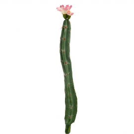 FLORISTA Kaktus - zelená/růžová