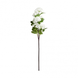 FLORISTA Větvička kalina 60 cm - bílá