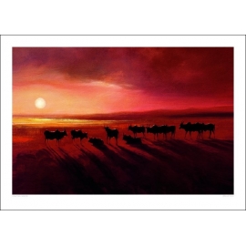 Posters Obraz, Reprodukce - Jonathan Sanders - Zebu At Dusk, (70 x 50 cm)