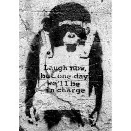 Posters Plakát, Obraz - Banksy street art - chimp, (42 x 59 cm)