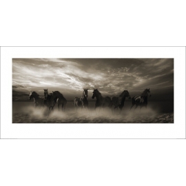 Posters Obraz, Reprodukce - Malcolm Sanders - Wild Stampede, (100 x 50 cm)