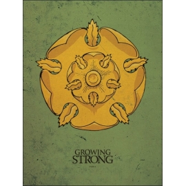 Posters Obraz, Reprodukce - Hra o Trůny - Game of Thrones - Tyrell, (60 x 80 cm)