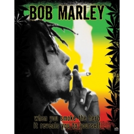 Posters Plakát, Obraz - Bob Marley - herb, (40 x 50 cm)