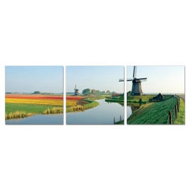 Posters Obraz na zeď - Holandsko - mlýny s polem tulipánů, (120 x 40 cm)