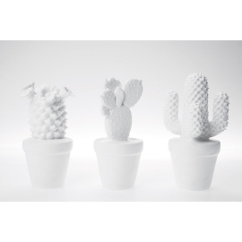 Deco Cactus White Assorted