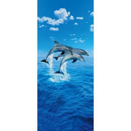 Posters Fototapeta THREE DOLPHINS - steve bloom