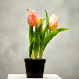 FLORISTA Tulipány v květináči - sv. růžová