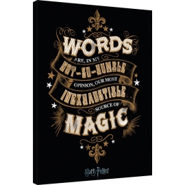 Posters Obraz na plátně Harry Potter - Words, (60 x 80 cm)