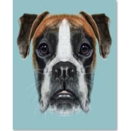 Obraz na skle Dog Face 60×60 cm