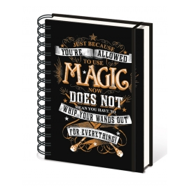 Posters Harry Potter - Magic Zápisník