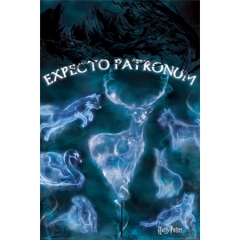 Posters Plakát, Obraz - Harry Potter - Patronus, (61 x 91,5 cm)