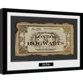 Posters Obraz na zeď - Harry Potter - Ticket