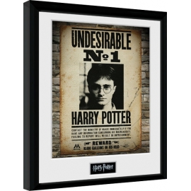 Posters Obraz na zeď - Harry Potter - Undesirable No 1